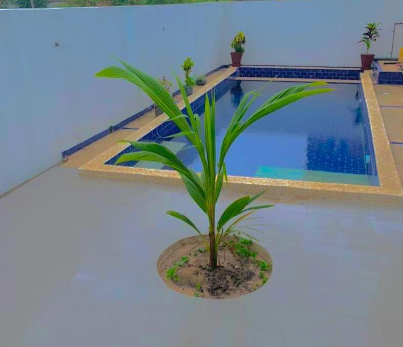 Bed and Breakfast Chez Rama Somone Exterior foto